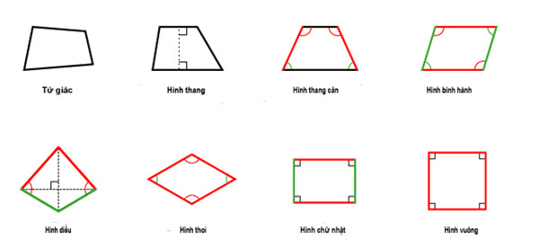 tứ giác có 2 góc vuông là hình gì