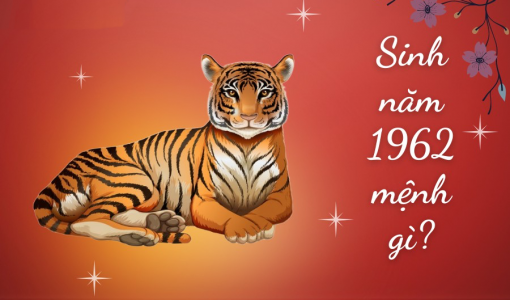 sinh-nam-1962