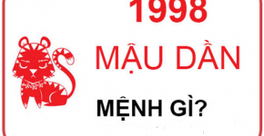 sinh-nam-1998-menh-gi
