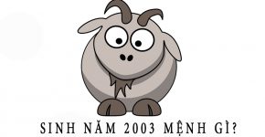 sinh-nam-2003-menh-gi