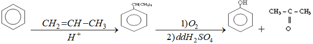phenol-6